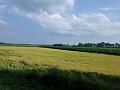 P1000363